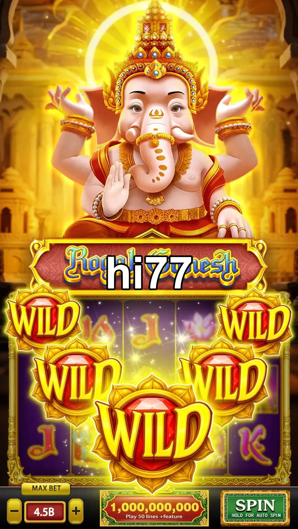 hi77 লগইন